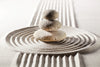 Achieving Zen in Your Life: Health, Food, and Home